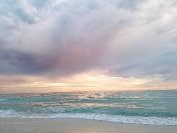 Playa en los alrededores y camastros 