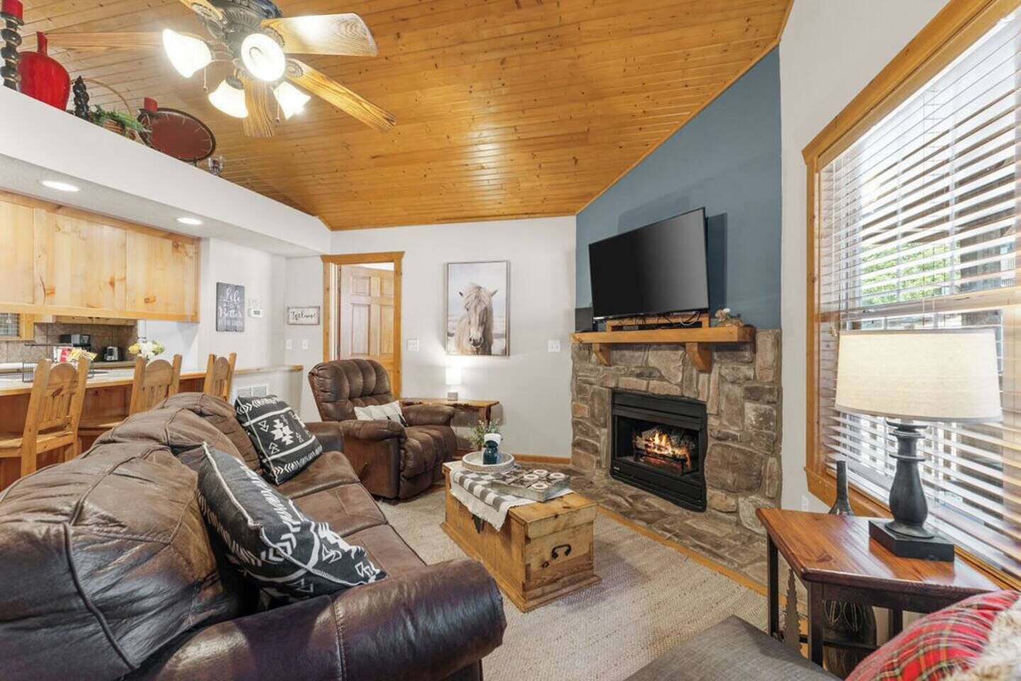 TV, lareira, DVD player