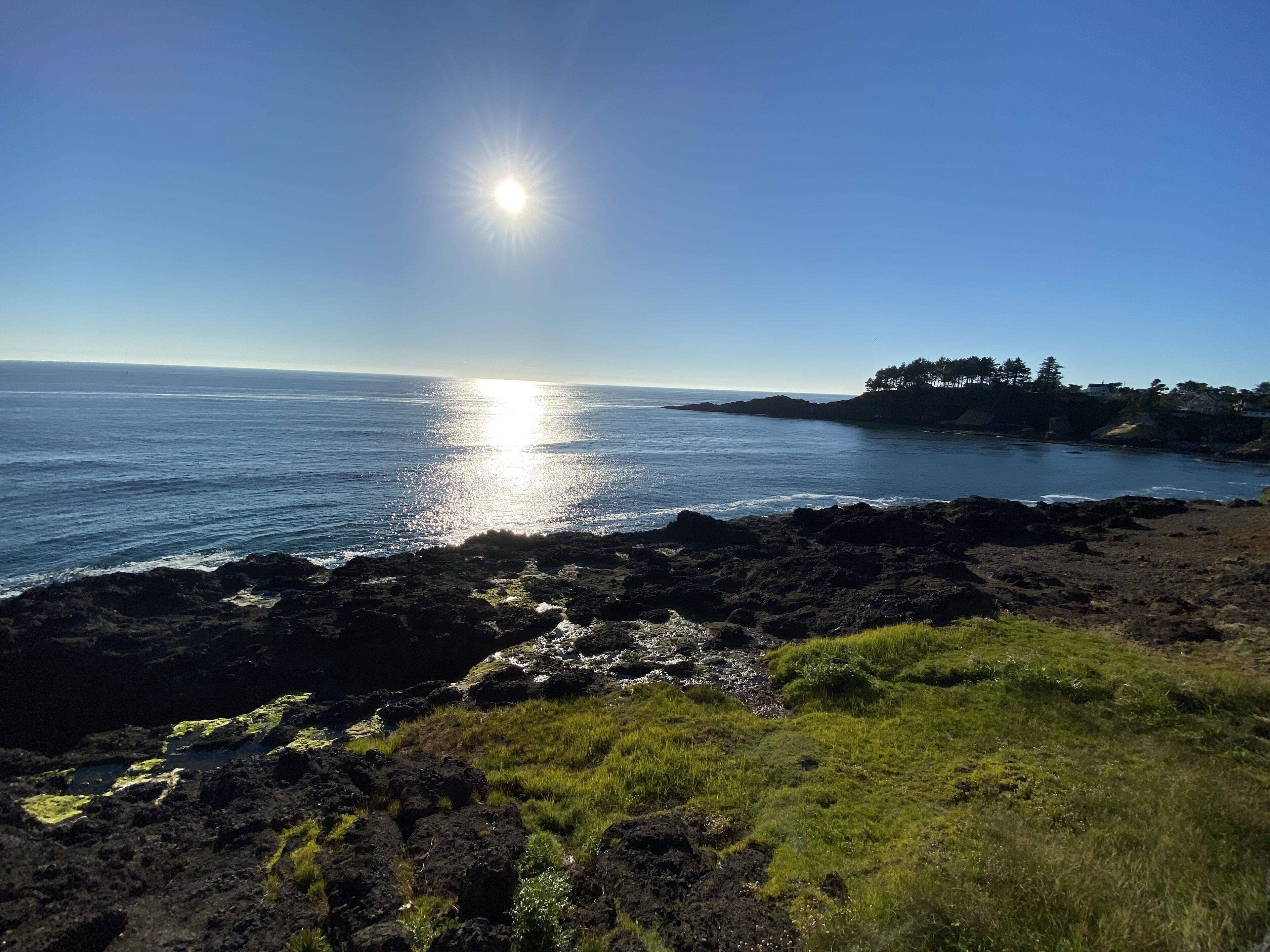 A coastal landscape with a rocky foreground, a clear sky, and the ocean in the background.
