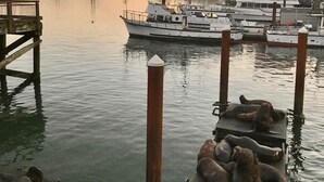 A waterfront dock with boats, a bridge in the background, and a wooden pier. - Breathtaking ocean views & adventure at your doorstep (Newport)