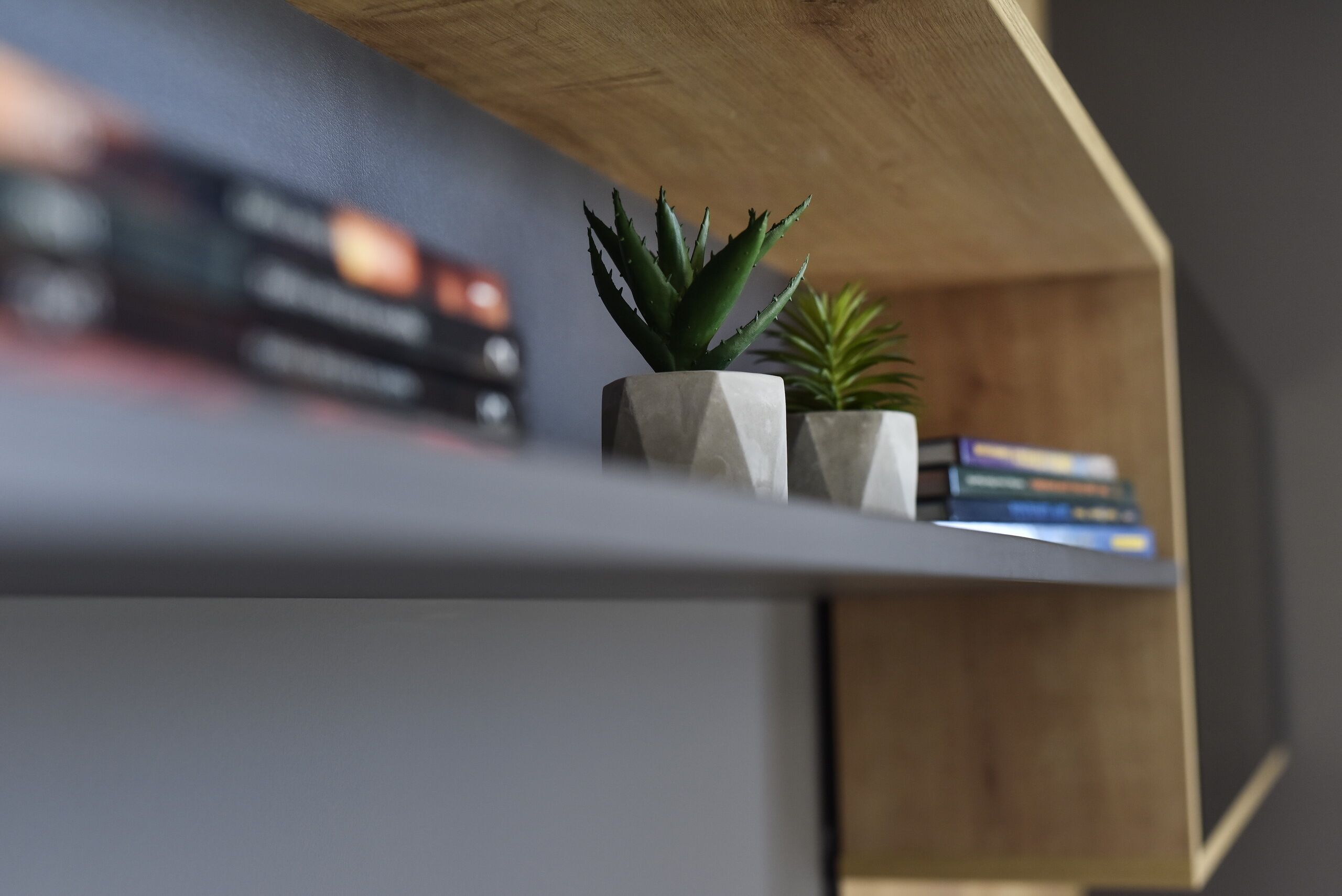 A shelf with two potted plants and a stack of books.