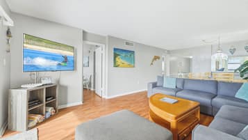 Smart TV, DVD player, books