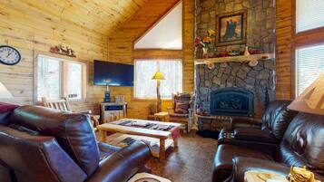 TV, fireplace, books, video library