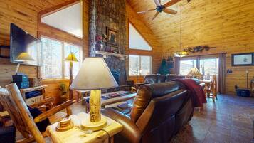 TV, fireplace, books, video library