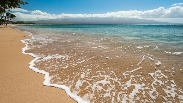 A beach with clear water, a sandy shore, and a mountain in the background. -  OCEAN FRONT: spacious, remodeled 4th floor condo (Kihei)