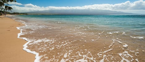 Una spiaggia nelle vicinanze