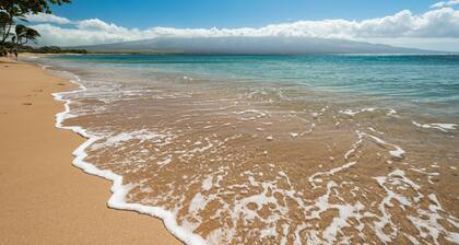 OCEAN FRONT: spacious, remodeled 4th floor condo