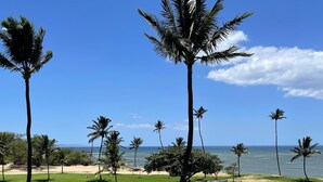 A tennis court with a net, surrounded by palm trees and a clear view of the ocean. -  OCEAN FRONT: spacious, remodeled 4th floor condo (Kihei)