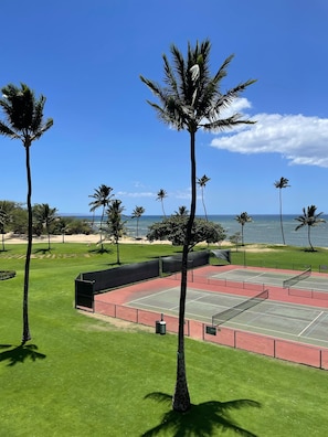 Un court de tennis avec un filet, entouré de palmiers et offrant une vue dégagée sur l’océan.
