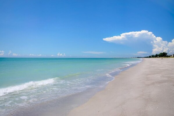 Playa en los alrededores 