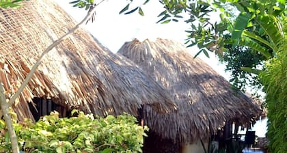 beach front bungalow in paea tahiti
