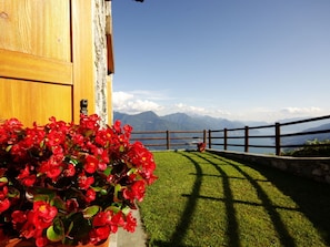 A wooden door with a flower pot of red flowers in front.
