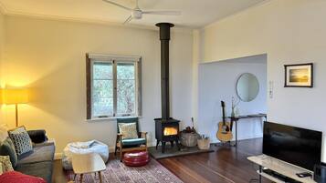 Smart TV, fireplace, DVD player, books