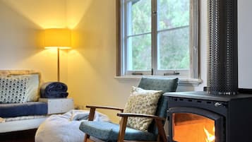 TV connectée, cheminée, lecteur de DVD, livres