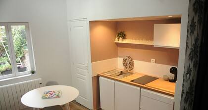 Completely renovated mini-home