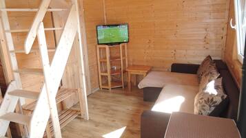 Smart TV, fireplace, ping pong