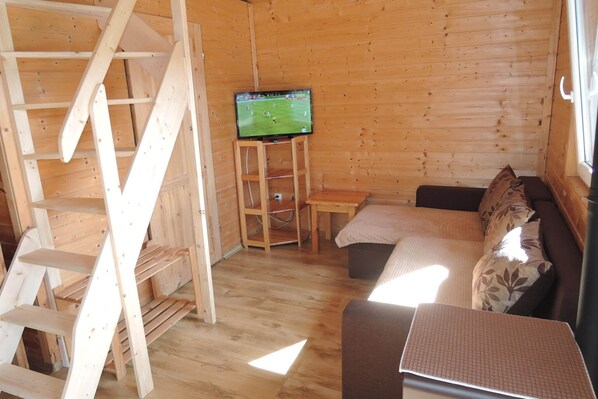 Smart TV, fireplace, ping pong