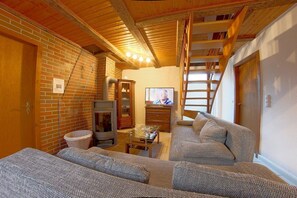 تلفزيون، مدفأة