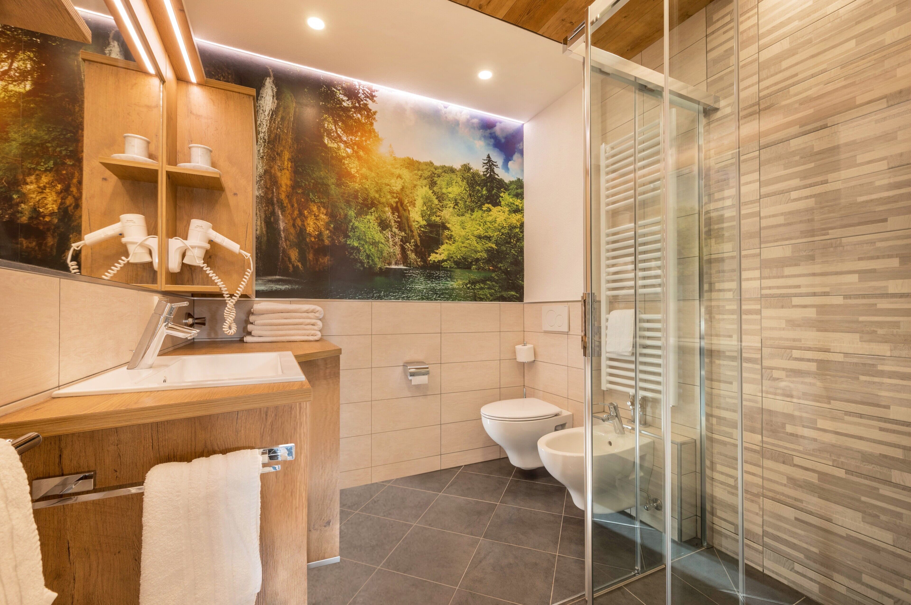 Shower, hair dryer, towels