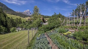 A rural landscape with a mountain in the background, a garden with various plants, and a wooden fence.