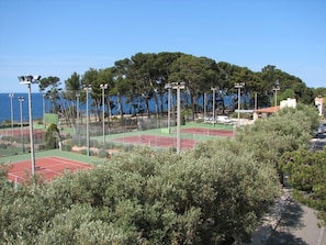 Terrain de sport