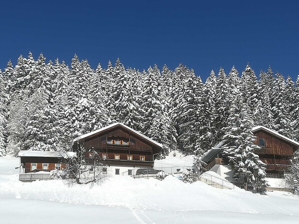 A snow-covered lodge with multiple wooden cabins, surrounded by dense evergreen trees.