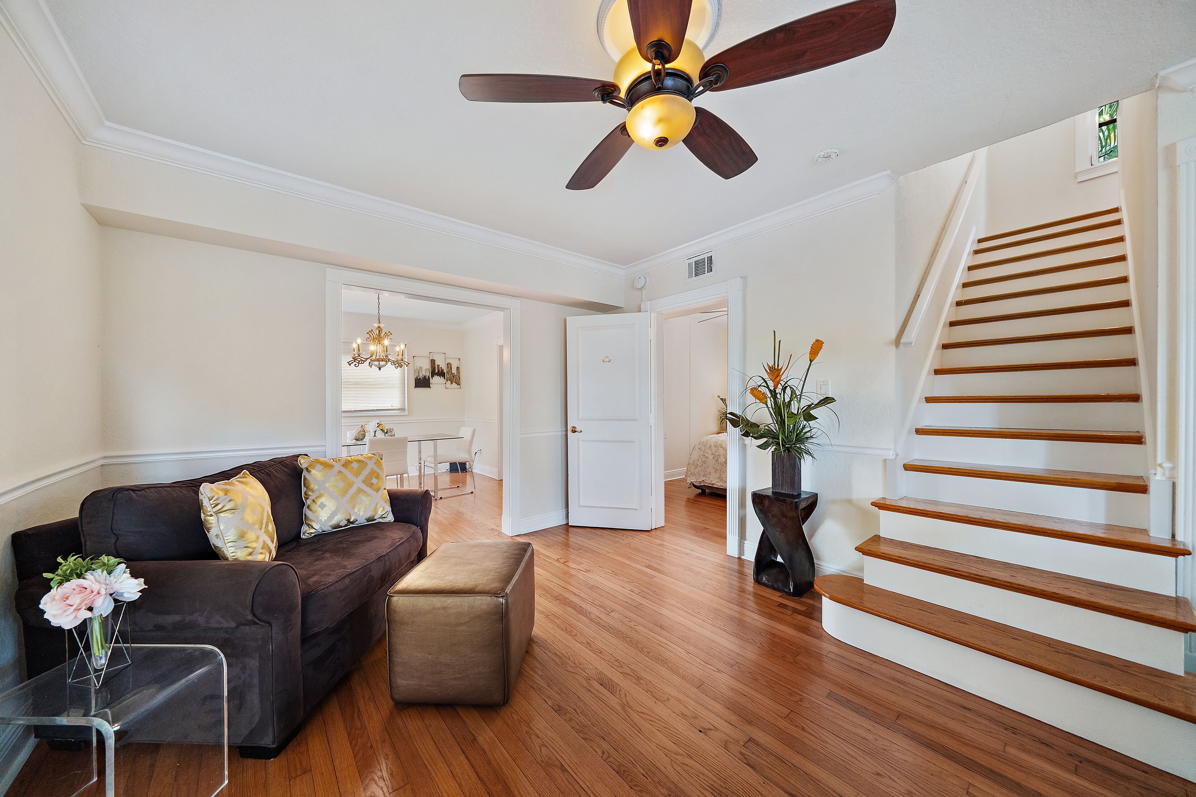 Downtown Tropical Oasis!