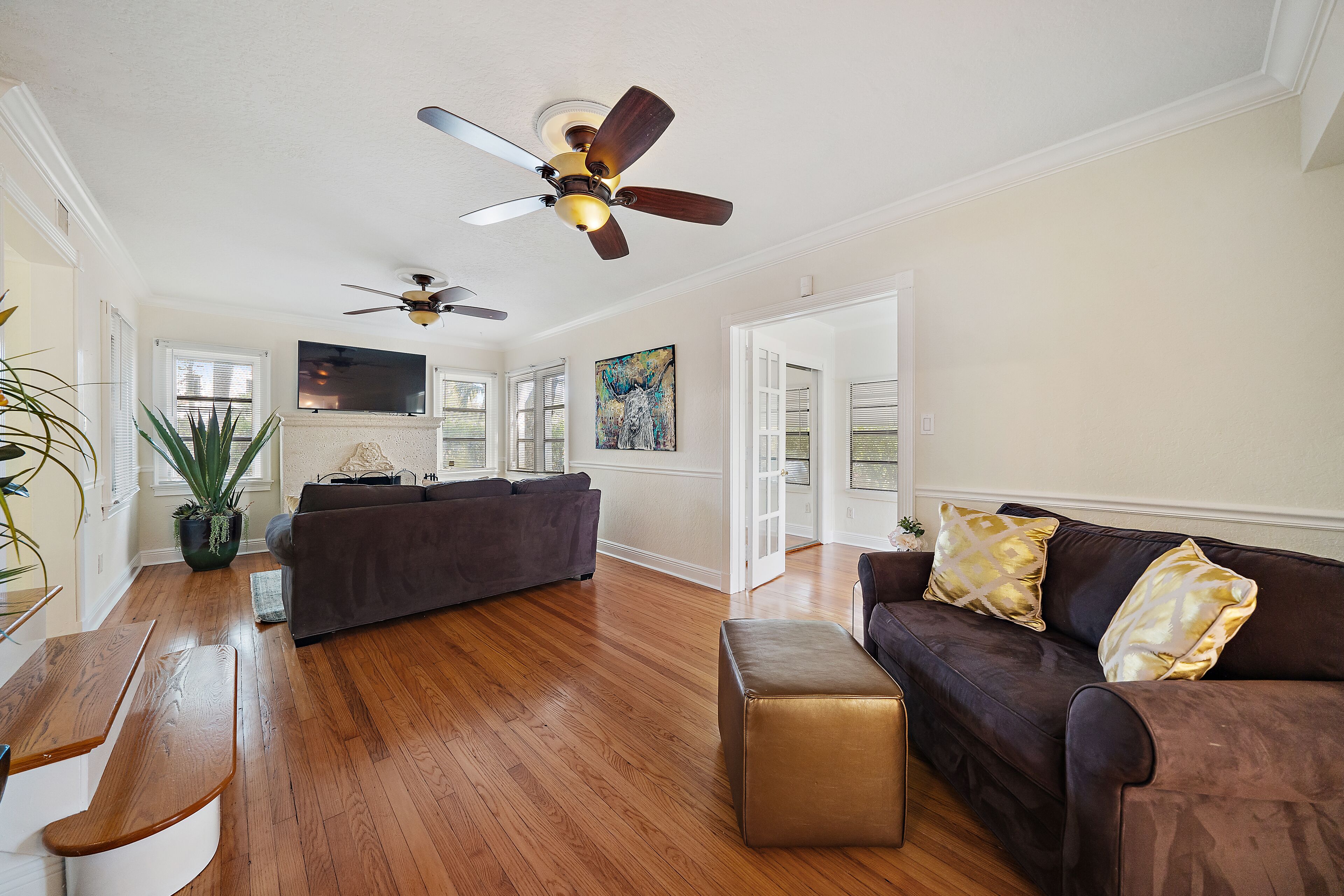 Downtown Tropical Oasis!