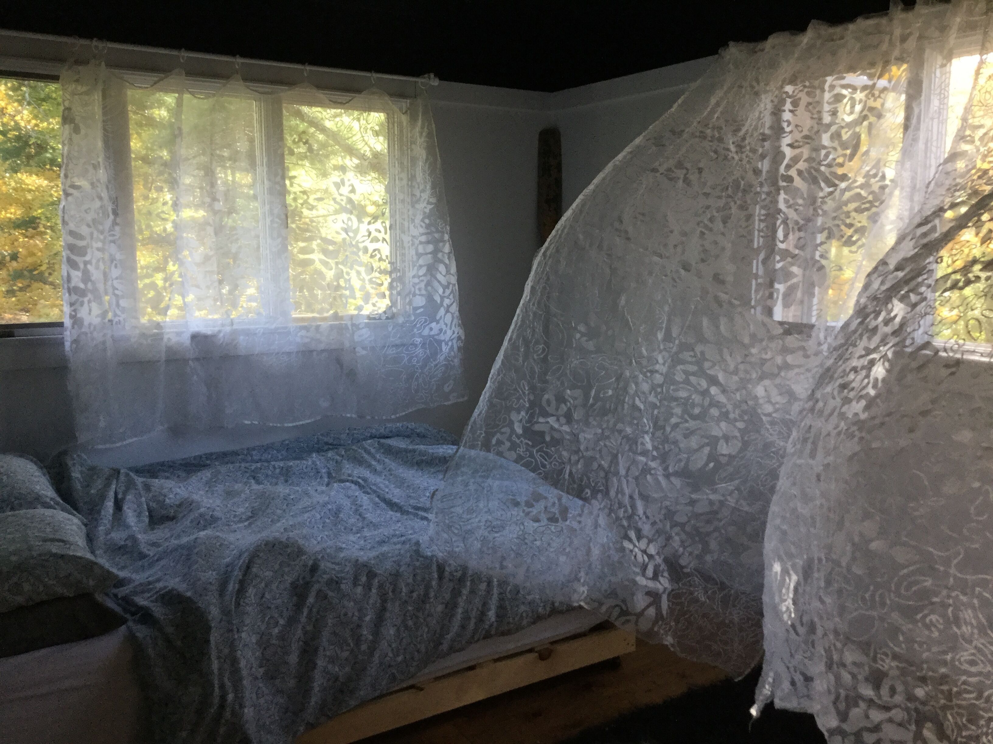 Cool house, hugged by nature, good for the soul.