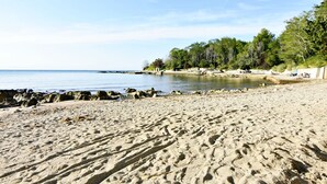 Ein sandiger Strand mit Felsen, ein ruhiges Meer und eine Baumreihe im Hintergrund.