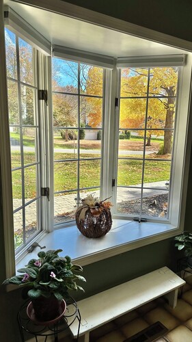 Family & Friends in Fairport 