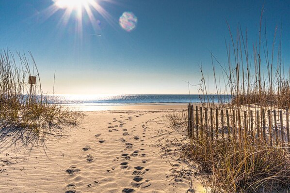 On the beach, beach towels - Cheerful & Bright Spacious End Unit - Oceanfront, Porch w/ View, Pool (Hilton Head Island)