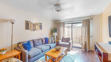 TV, DVD player, books, video library