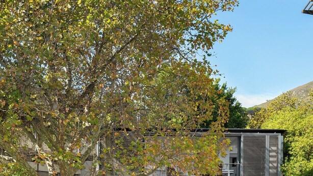 Una casa moderna con piscina, mobiliario exterior y un gran árbol.