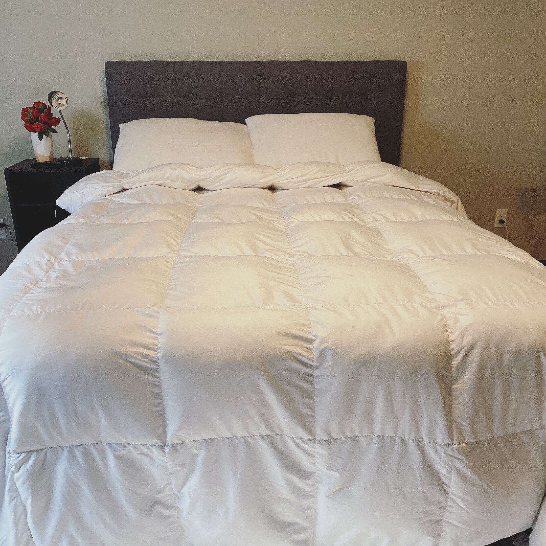 <br>Private room,  restroom and shower, private entry.  