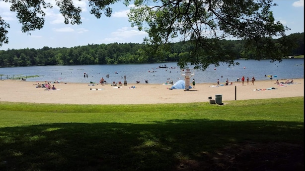 A beach with a grassy foreground, a sandy beach area, and a lake in the background.