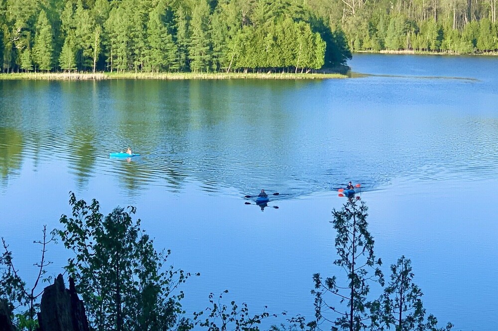 Cozy, Lake Front Cottage Close To It All! Fishing, Hunting, Hiking & Much More!