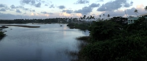 Lago