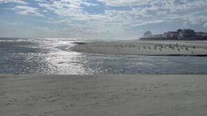 Une plage où l’on voit des empreintes de pas menant à l’eau, un ciel dégagé et des bâtiments en arrière-plan.