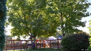 Une cour arrière clôturée, dotée d’une terrasse en bois et d’un grand arbre qui offre de l’ombre.