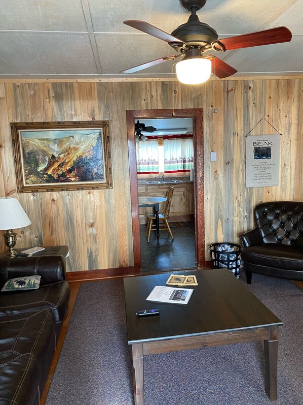 Smart TV, fireplace, DVD player, books