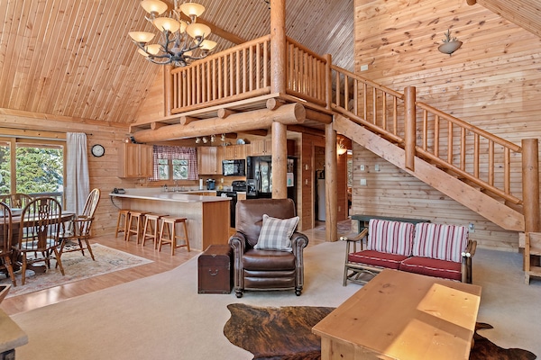 Televisor intel·ligent, llar de foc, reproductor de DVD i llibres