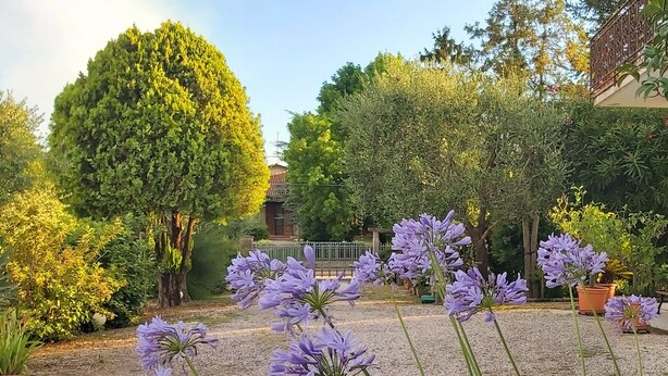 A garden with various plants and a bench. - "Da Celeste" Very bright apartment in a single house surrounded by greenery (Montegaldella)