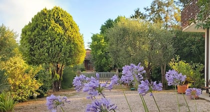 La Celeste“ sehr helle Wohnung in Montegaldella -Vi- in freistehendem Haus
