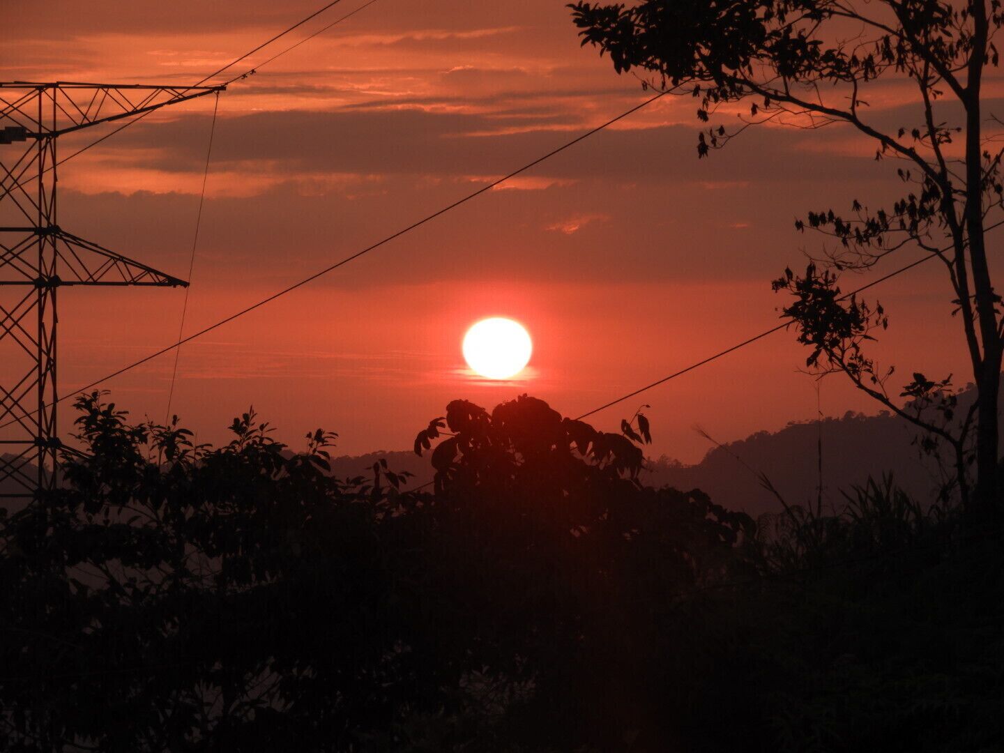Cabin with incredible views of the forest and waterfall.