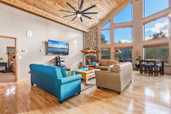 Smart TV, fireplace, DVD player, books