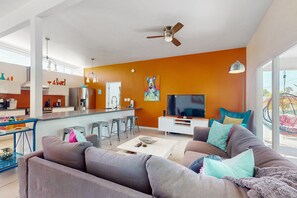 电视、DVD 播放器、乒乓球