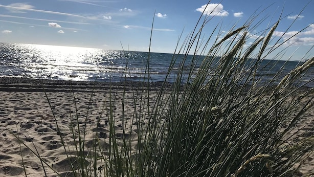 Una playa con arena y césped en primer plano, y el océano al fondo.
