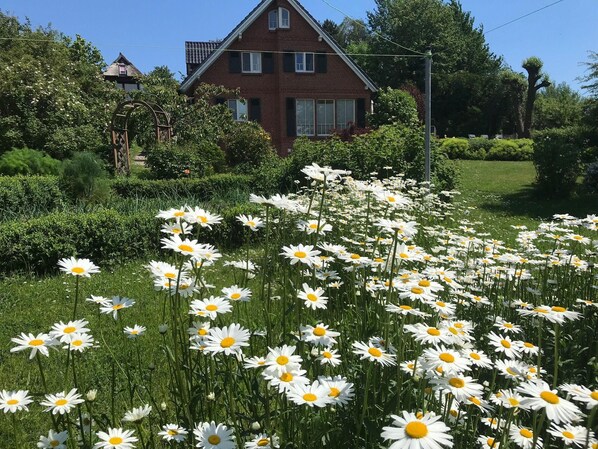 Ulkoalueet