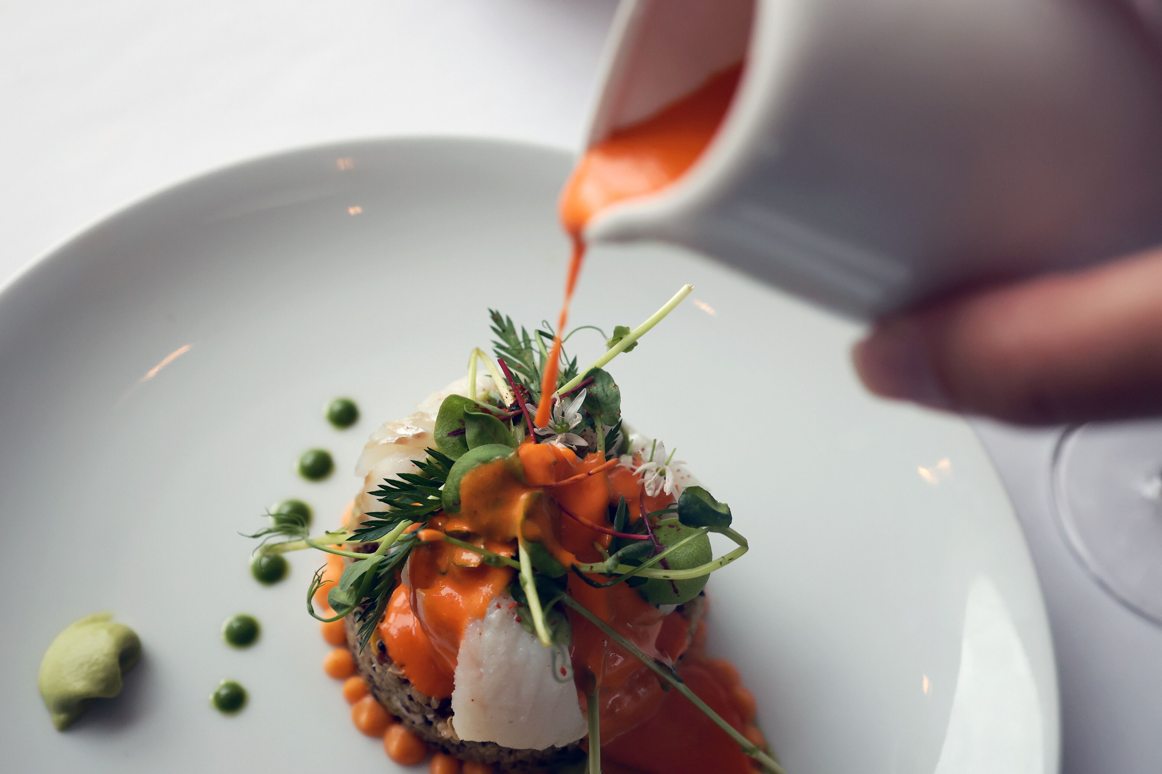 Een bord met zalm, groenten en saus.